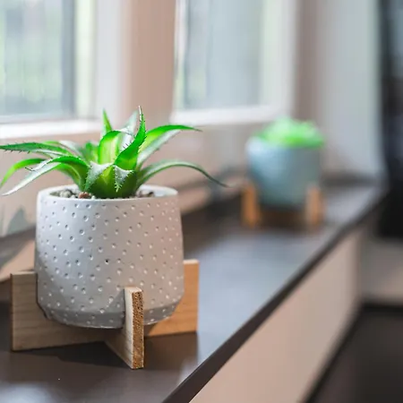 Les Figuiers - Cozy Avec Jardin Apartment